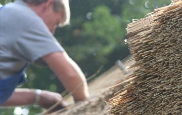 professional Toogs thatchers